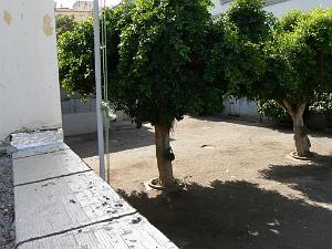 Jean Mace filles la cour